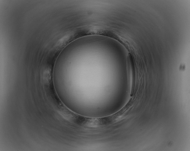 X0000091570127200708201154