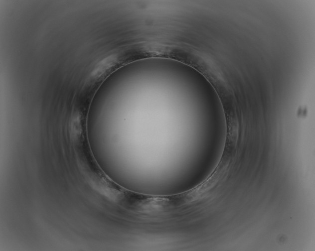 X0000091570128200708201154