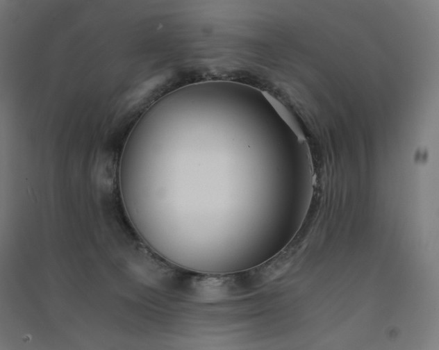 X0000091570129200708201154