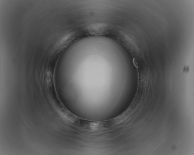 X0000091570130200708201154