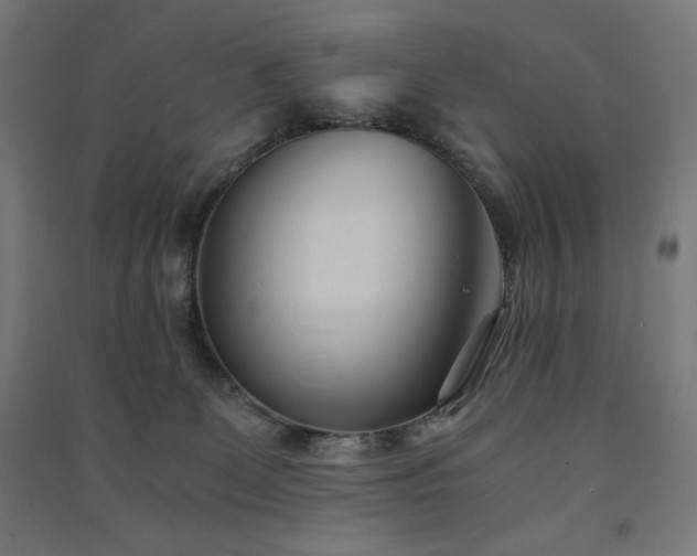 X0000091570131200708201154
