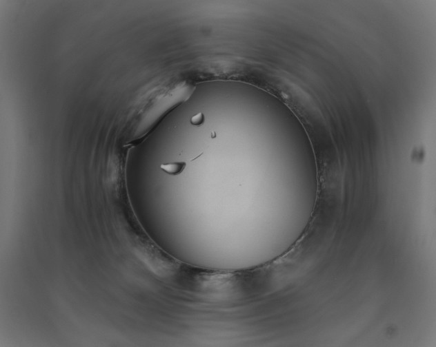X0000091570132200708201154