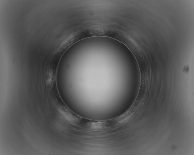 X0000091570134200708201154