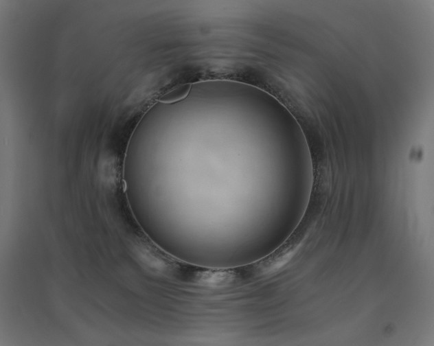 X0000091570135200708201154