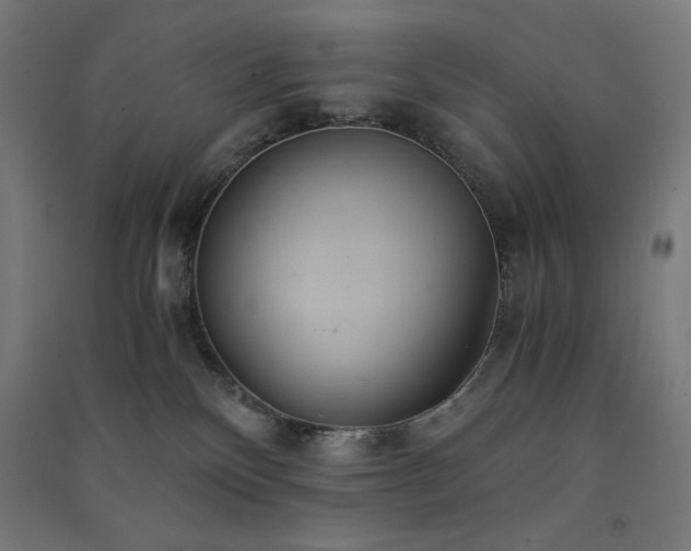 X0000091570136200708201153