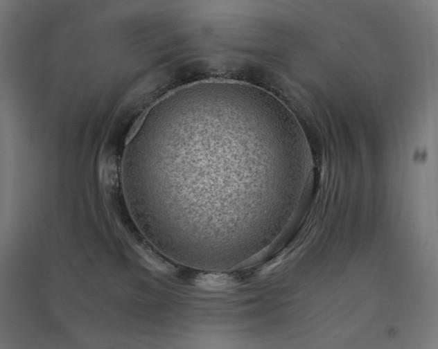 X0000091570137200708201153