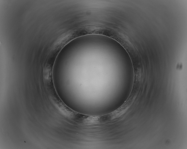 X0000091570138200708201153