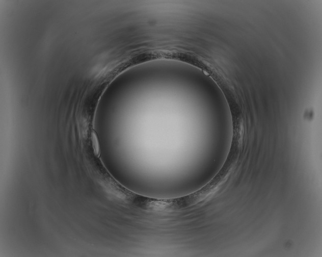 X0000091570139200708201153