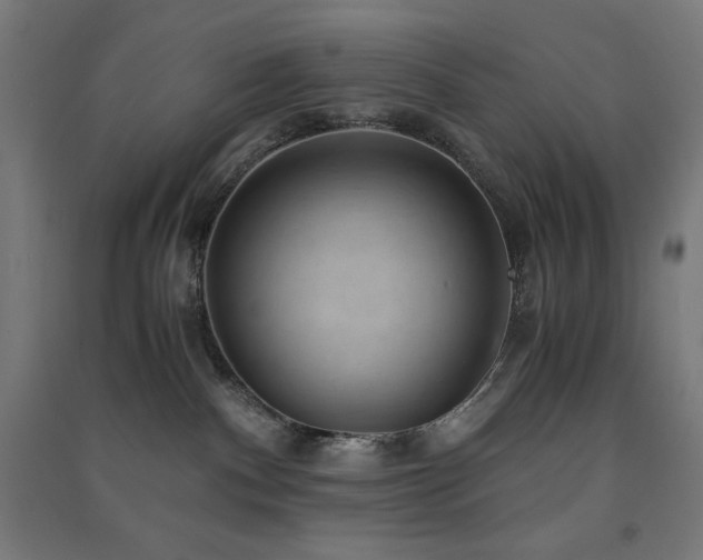 X0000091570140200708201153