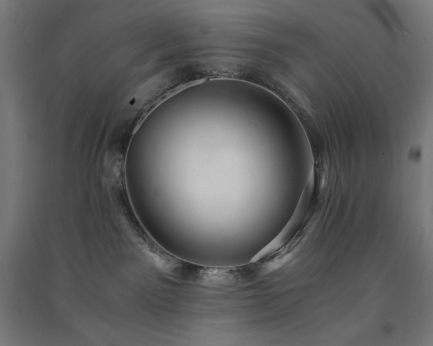 X0000091570141200708201153