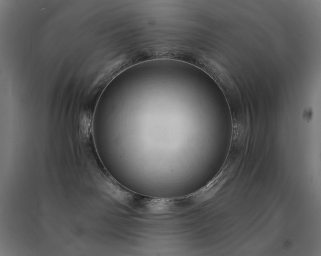 X0000091570142200708201153