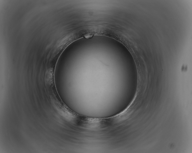 X0000091570144200708201153