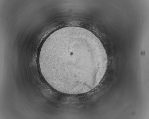 X0000091570146200708201153