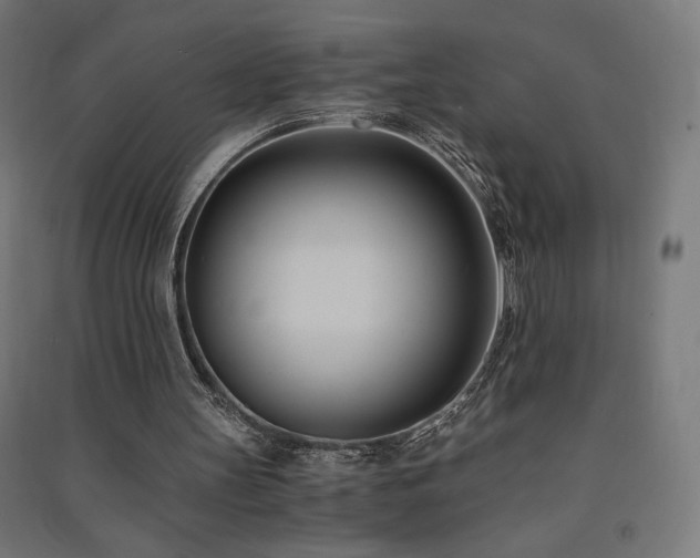 X0000091570147200708201153