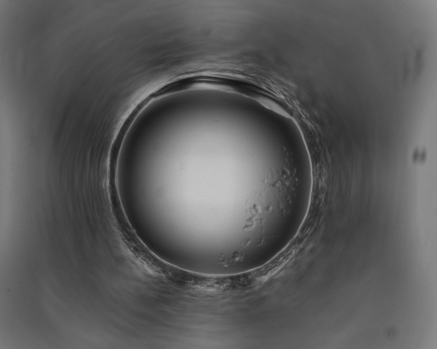 X0000091570148200708201153