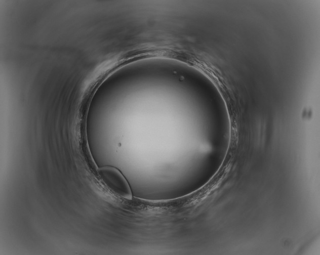 X0000091570149200708201153