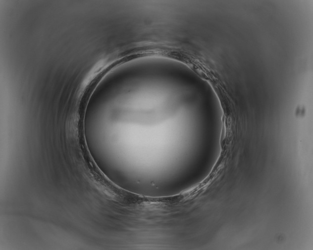 X0000091570150200708201153