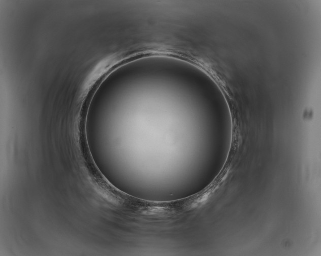 X0000091570151200708201153