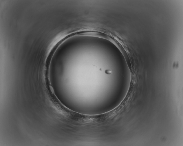 X0000091570152200708201153
