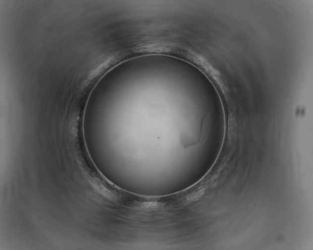 X0000091570153200708201153