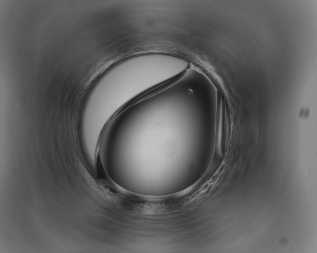 X0000091570154200708201153