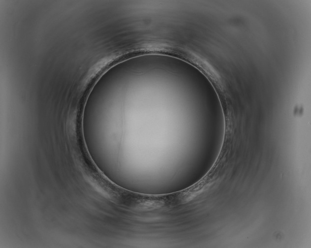 X0000091570155200708201153