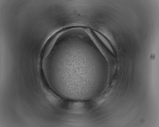 X0000091570156200708201153