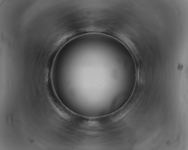 X0000091570157200708201153