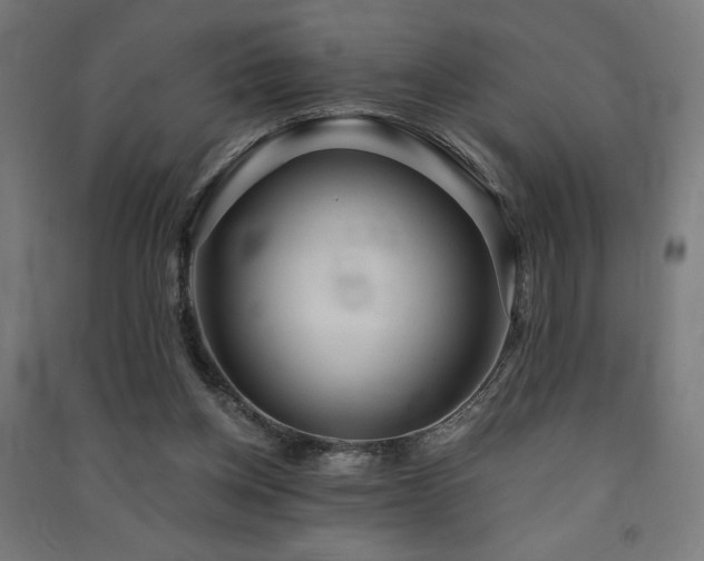 X0000091570158200708201153