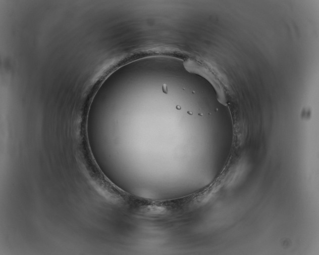 X0000091570159200708201153