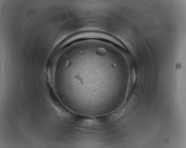 X0000091570160200708201153