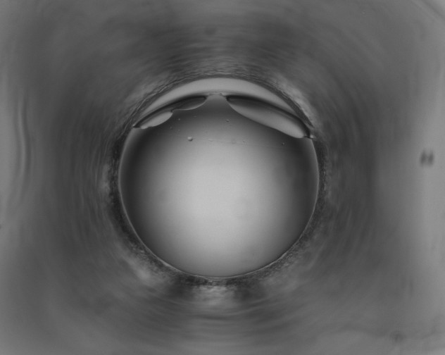 X0000091570161200708201153