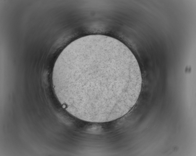 X0000091570162200708201153