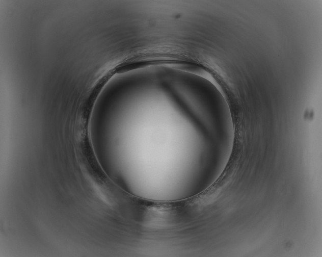 X0000091570164200708201153