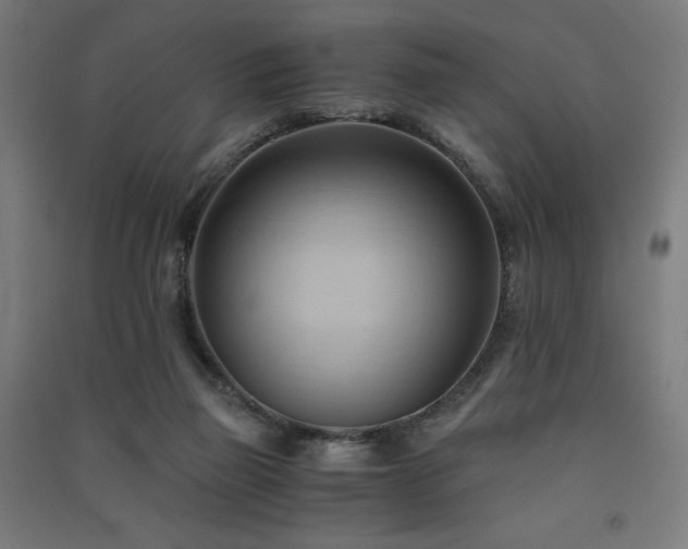 X0000091570165200708201153