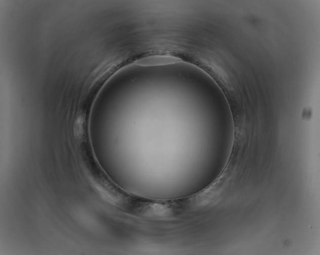 X0000091570166200708201153