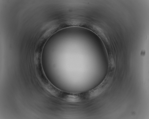 X0000091570167200708201153