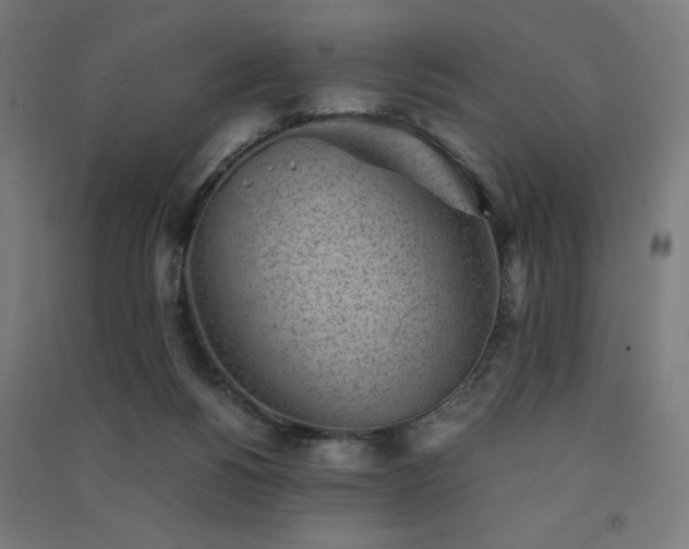 X0000091570168200708201153