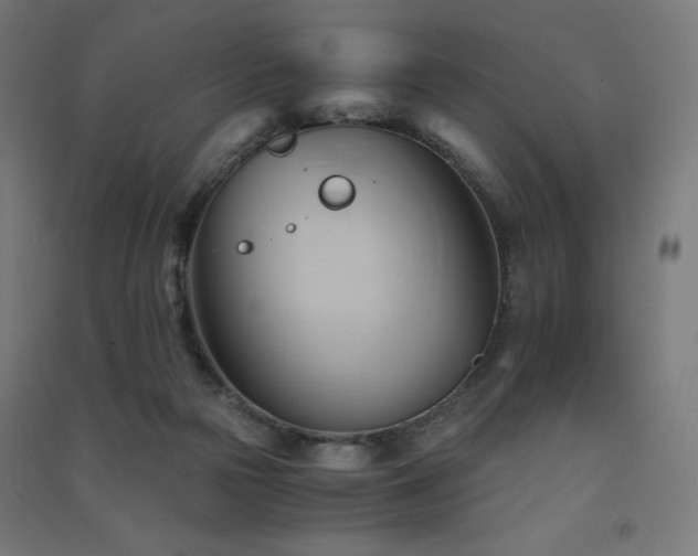 X0000091570169200708201153