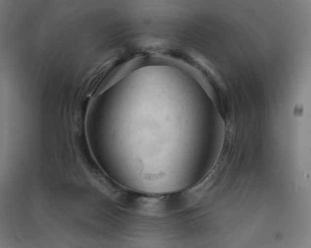 X0000091570170200708201153