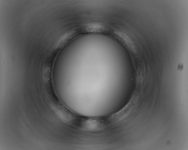 X0000091570171200708201153