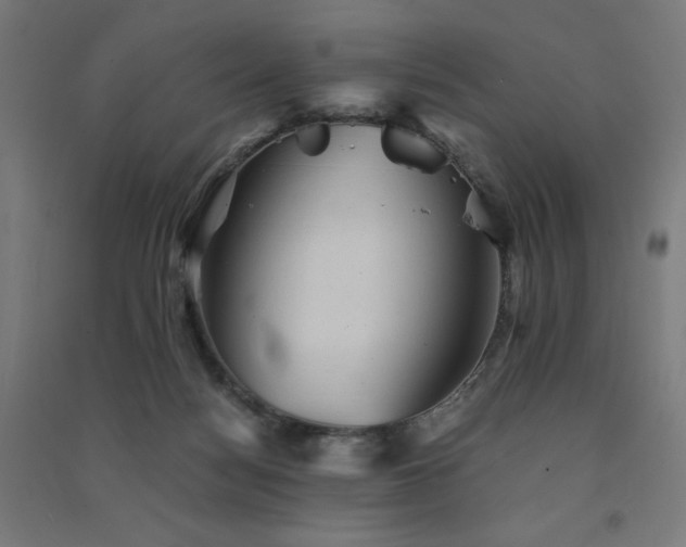 X0000091570172200708201153