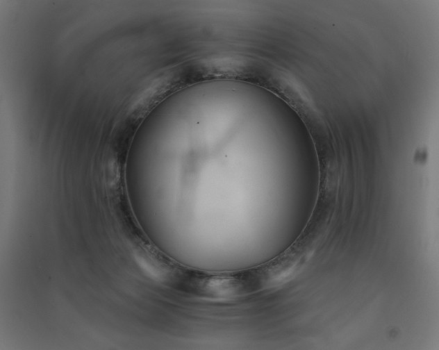 X0000091570173200708201153
