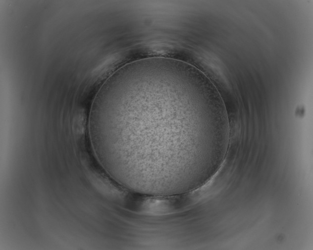 X0000091570174200708201153