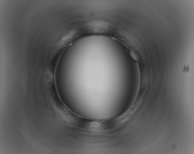 X0000091570176200708201153
