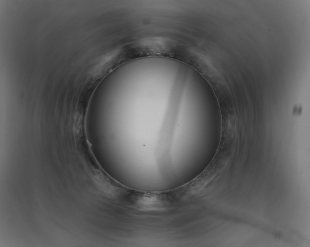 X0000091570177200708201153