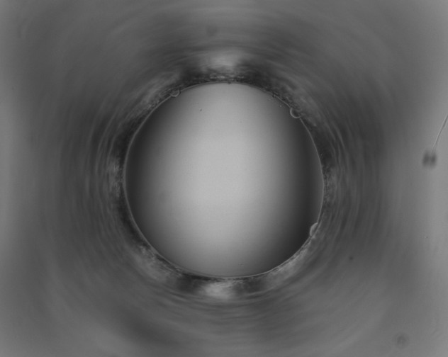 X0000091570178200708201153