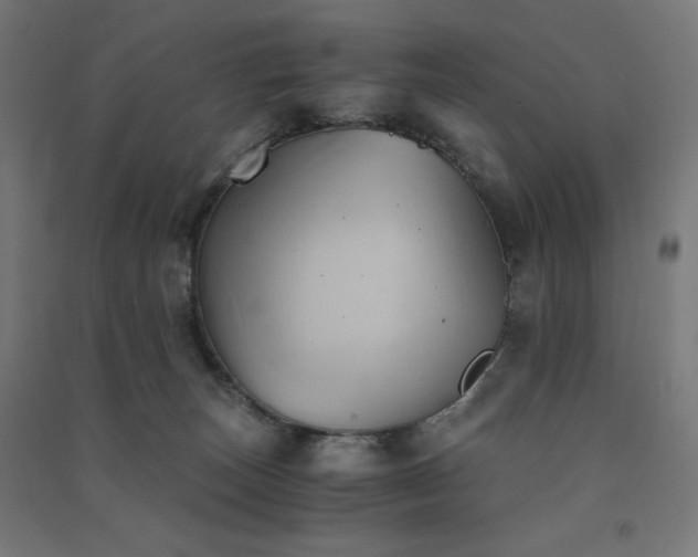 X0000091570179200708201153
