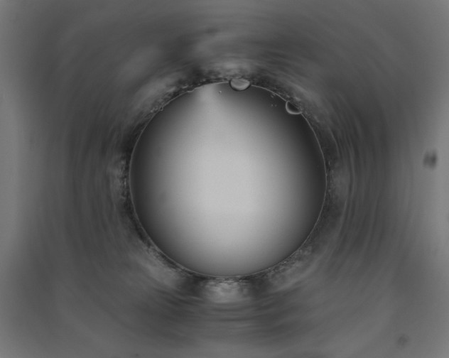 X0000091570181200708201153