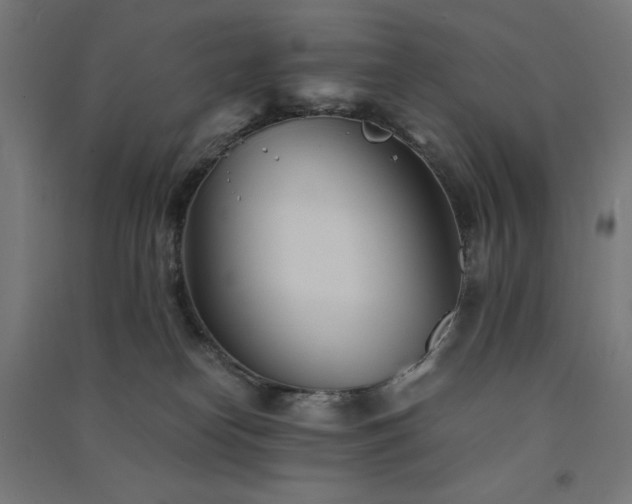 X0000091570182200708201153